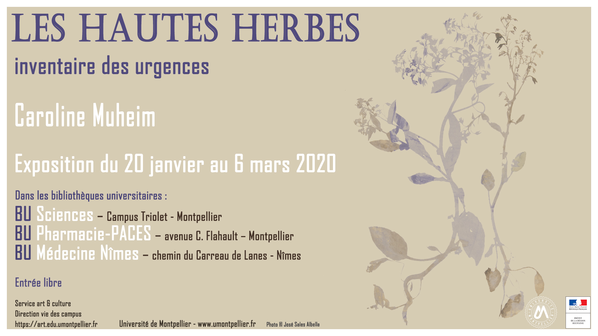 Affiche expo Hautes Herbes, de Caroline MUHEIM